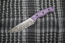 画像をギャラリービューアに読み込む, 野風
