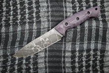 画像をギャラリービューアに読み込む, 野風
