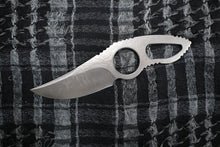 画像をギャラリービューアに読み込む, ツノガイ
