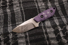 画像をギャラリービューアに読み込む, エナガ
