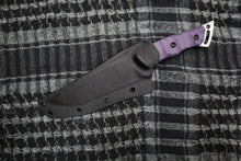 画像をギャラリービューアに読み込む, Fish-Neo
